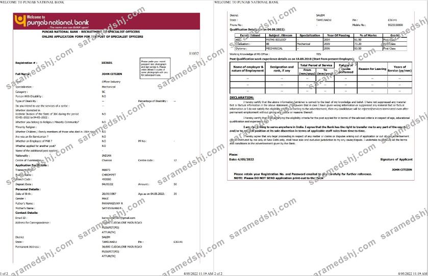 India Punjab National Bank statement Word and PDF template, 2 pages